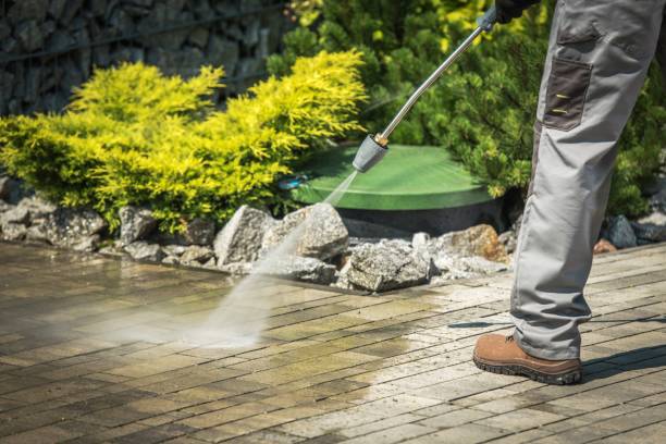 Best Roof Washing  in Alderton, WA